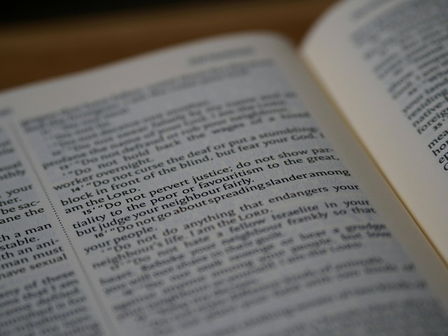 Ilustrasi Perbedaan Slang dan Colloquialism. Sumber: Pexels/Brett Jordan