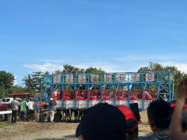 Start gate lapangan pacuan kuda Kecamatan Ambal