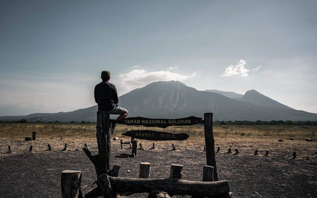 Ilustrasi sabana di Indonesia. Sumber: rizknas/pexels.com