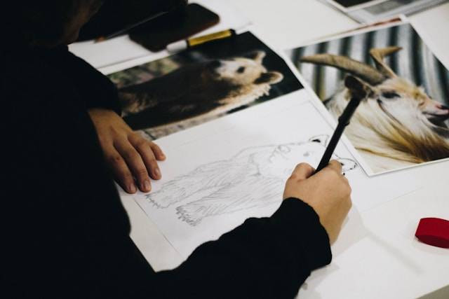 Ilustrasi Teknik Melukis Portret dengan Teknik Kontur. Foto: dok. Unsplash/Thiago Barletta