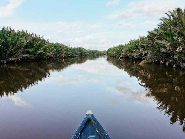 tempat wisata di Kalimantan Selatan. Foto hanya ilustrasi, bukan tempat sebenarnya. Sumber: Unplash/victor vazquez