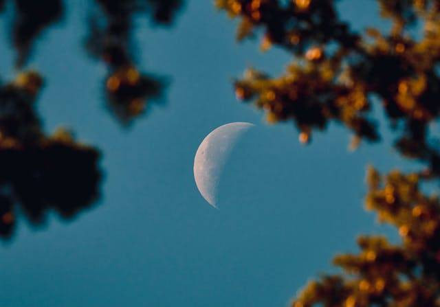 Benda langit yang mengiringi planet disebut. Sumber; Pexels / Valter Zhara
