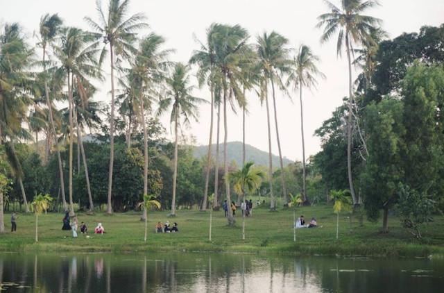 Foto Hanya Ilustrasi Telaga Ngebel, Bukan Tempat Sebenarnya. Sumber Unsplash/M. Zakiyuddin Munziri