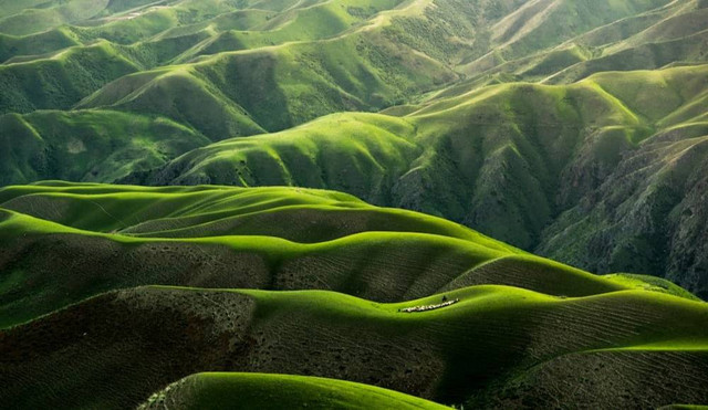 Foto Hanya Ilustrasi Wisata Dago Parung Panjang, Bukan Tempat Sebenarnya Sumber Unsplash/Qingbao Meng