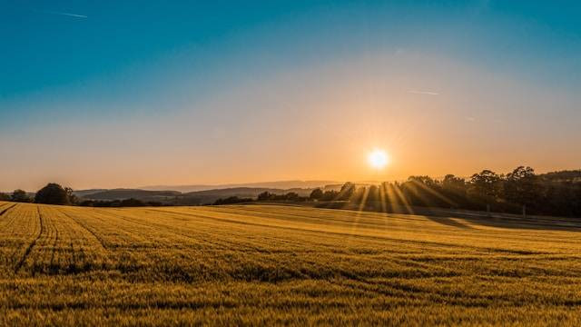 Cara Menghitung Luas Tanah yang Panjang dan Lebarnya Tidak Sama. Foto hanya ilustrasi. Sumber foto: Unsplash/Federico