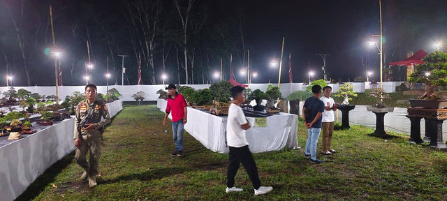 Kontes Bonsai Nasional Tubaba 2024 | Foto: ist