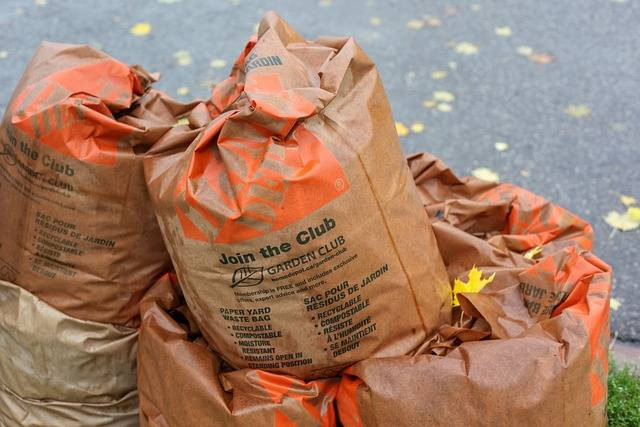 Ilustrasi kertas termasuk sampah organik atau anorganik. Foto: Pixabay.