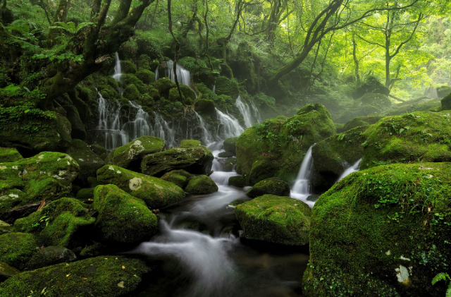 Ilustrasi dari manakah asal persediaan air sungai di daratan? Sumber foto: Pixabay/Kanenori