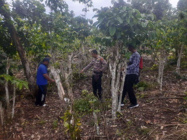 Lokasi IRT tersengat listrik hingga meninggal dunia. | Foto: Dok Polres Lampung Barat