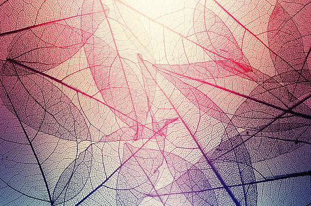 Ilustrasi Sebutkan 5 Cara Penerapan Ragam Hias Pada Tekstil, Foto: Unsplash/Andrey Danilovich.