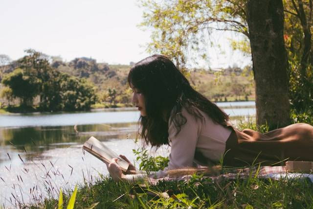 Ilustrasi novel tere liye terbaik sepanjang masa. Foto: Nguyen Thu Hoai/Unsplash