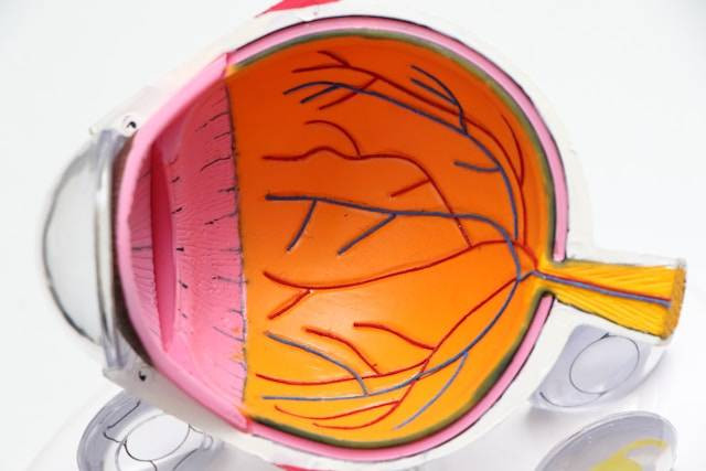 Prinsip Kerja Alat Optik. Foto hanya ilustrasi. Sumber foto: Unsplash/Harpeet