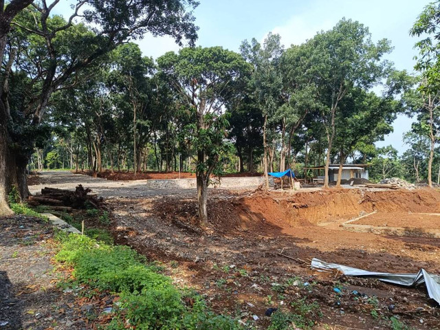 Lahan di Kawasan Wisata Plangon Kabupaten Cirebon yang akan digunakan sebagai objek wisata Mini Zoo. Foto: Tarjoni/Ciremaitoday