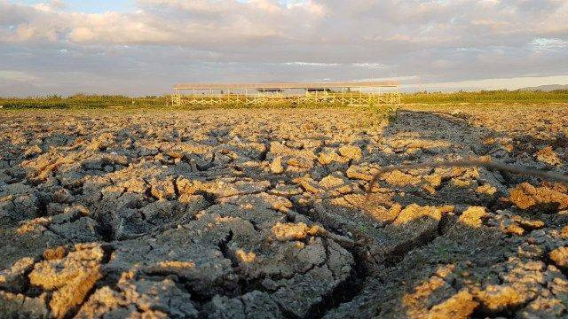 sumber : https://blue.kumparan.com/image/upload/fl_progressive,fl_lossy,c_fill,q_auto:best,w_640/v1580556249/xgzrpyjbkva8eg6citxl.jpg