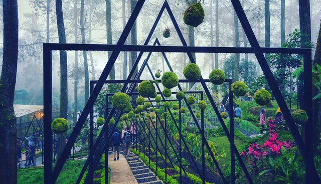 Itinerary lembang 1 hari. Foto hanya ilustrasi, bukan tempat sebenarnya.Sumber: Unsplash/Bimo Prasetyo