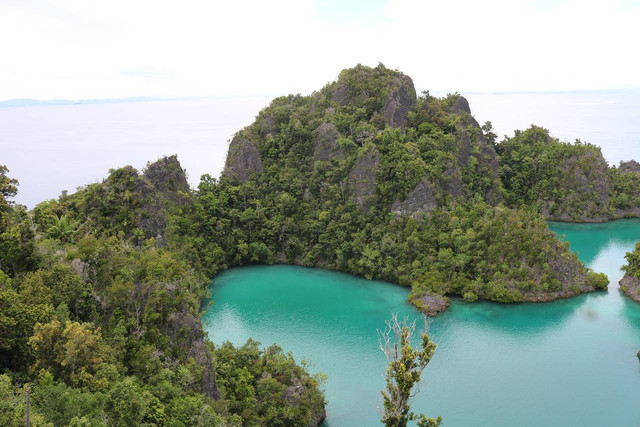 Ilustrasi provinsi terbaru di Indonesia. Foto: Pixabay