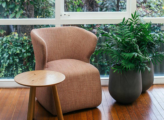 ilustrasi tanaman hias ruang tamu. Sumber foto: Pexels