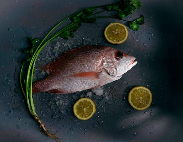 Ilustrasi Contoh Olahan Makanan yang Berasal dari Ikan Kakap. Sumber: Pexels/Gans Art
