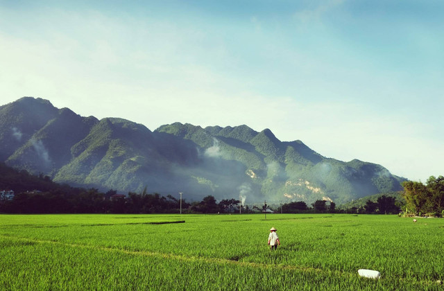 Ilustrasi Salah Satu Adat dari NTT untuk Menyambut Masa Tanam adalah. Sumber: Unsplash.com/Patrick McGregor