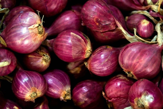 Ilustrasi manfaat makan bawang merah mentah - Sumber: pixabay.com/ignartonosbg