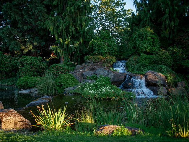 Ilustrasi hubungan antar komponen ekosistem dan jaring-jaring makanan di lingkungan sekitar. Sumber: unsplash.com/BenVaughn.