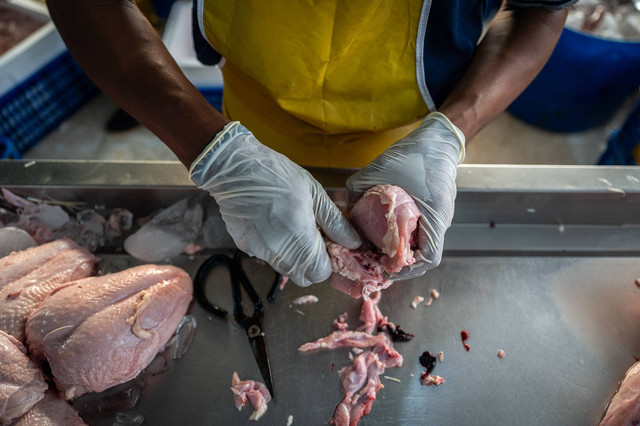 Sejumlah pekerja memotong daging ayam di Rumah Potong Hewan Unggas (RPHU) Rawa Kepiting, Cakung, Jakarta, Sabtu (4/5/2024). Foto: Bayu Pratama S/ANTARA FOTO