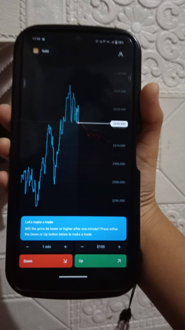 Crypto Sebagai Contoh Investasi. Foto: Dokumentasi Pribai