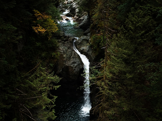 Ilustrasi hulu sungai. Sumber: unsplash.com/BraydenPrato.