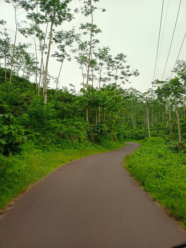 Jalan menuju Gunung Gambir (dokumentasi pribadi)
