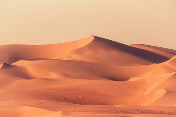 Ilustrasi Penyebab Keberadaan Gurun di Australia, Foto: Unsplash/Mlenny.
