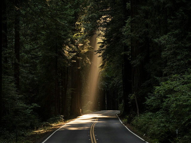 Ilustrasi masalah sosial budaya yang dapat timbul akibat alih fungsi hutan deforestasi. Sumber: unsplash.com/JohnTowner.