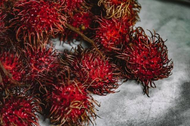 Ilustrasi apa itu rambutan binjai?, sumber foto: ROMAN ODINTSOV by pexels.com