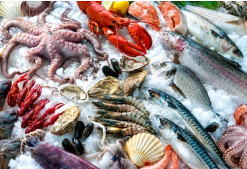 Frozen Seafood. Sumber: shutterstock.com