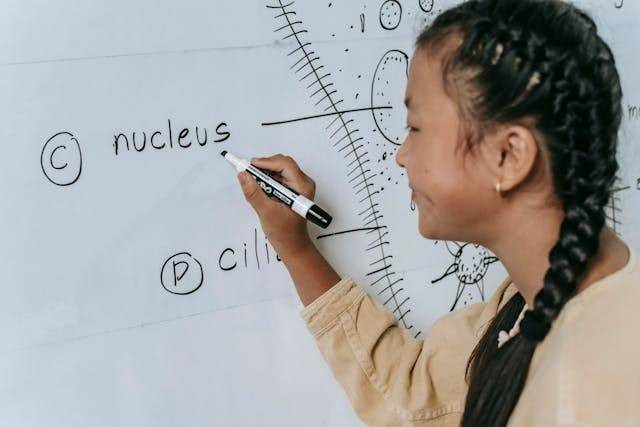 Ilustrasi fungsi nukleus pada sel tumbuhan. Sumber: pexels.com