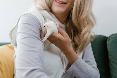 Ilustrasi cara menghilangkan bau sugar glider. Foto: Pexels