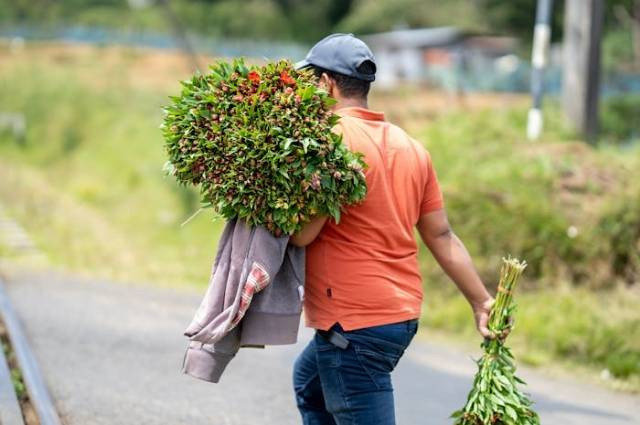 Ilustrasi dosis decis per liter, sumber foto: Dinuka Gunawardana by pexels.com
