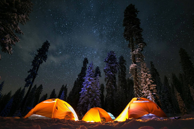 Taman Hutan Raya Sultan Adam. Foto hanya ilustrasi, bukan gambar sebenarnya. Sumber: Unsplash/ Cameron Vaughan.  