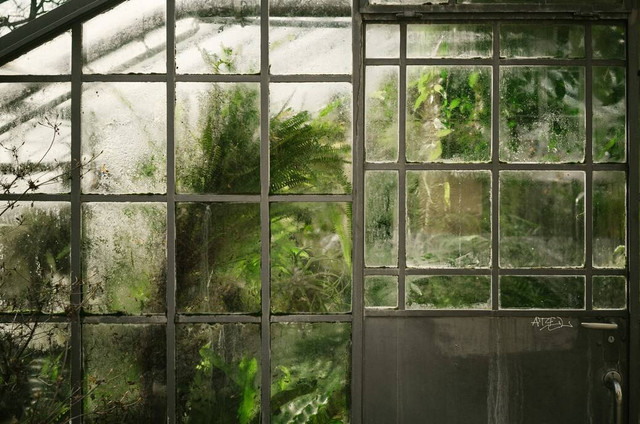 Ilustrasi Manfaat Efek Rumah Kaca. Sumber: Unsplash/Johannes Hofmann