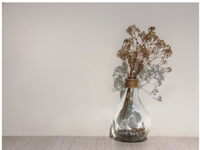 Foto Hanya Ilustrasi: Dried Flower. Sumber: flat hito/Pexels.com