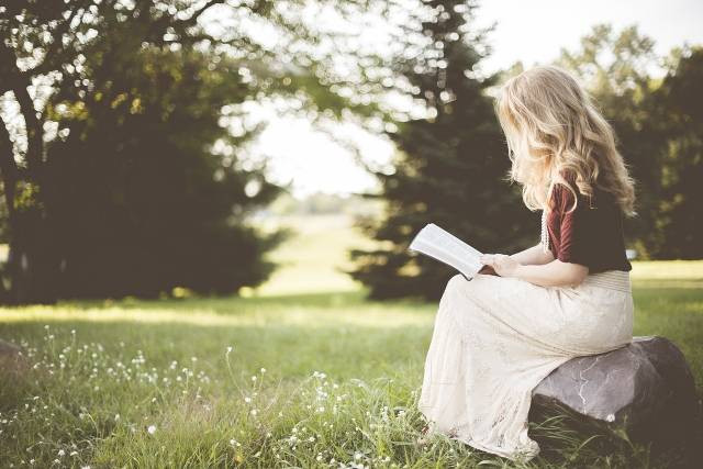 Seluk-Beluk Kalimat dalam Tulisan. Sumber: https://pixabay.com/id/photos/pirang-gadis-buku-membaca-duduk-1866951/
