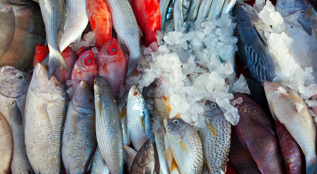 Pengawetan ikan dengan pembekuan. Foto: freepik.com