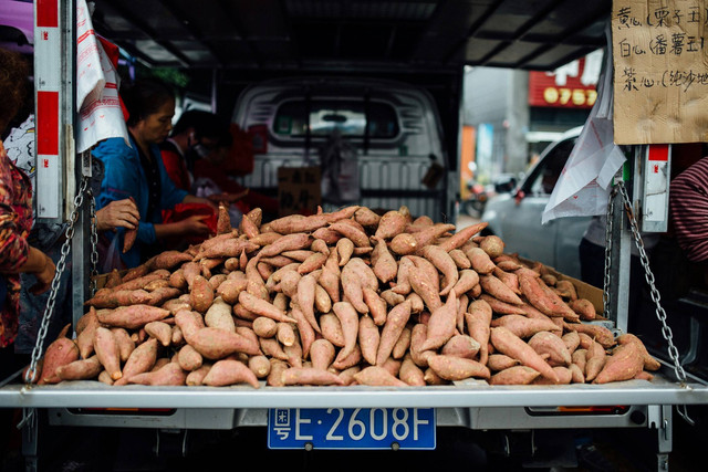 Sebutkan Organ tumbuhan yang mengalami perubahan ukuran dan bentuk sebagai akibat perubahan fungsinya disebut umbi., sumber: unsplash/HansonLu