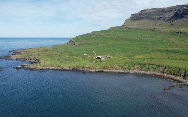 Ilustrasi dampak sosial dan ekonomi Pertempuran Timor Timur. Sumber: Ilustrasi dampak sosial dan ekonomi Pertempuran Timor Timur. Sumber: Kinley Lindsey/pexels.com/pexels.com