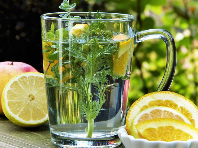 Ilustrasi manfaat tanaman obat untuk kesehatan. Foto: Pixabay