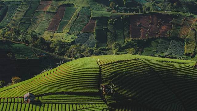 Terasering Panyaweuyan Majalengka, bukan tempat sebenarnya. Sumber: Ilmi Amali QA / Unsplash