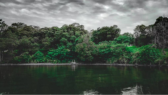 Situ Sanghyang. Foto hanyalah ilustrasi bukan tempat sebenarnya. Sumber: Unsplash/Fifthgana Alfahrezi
