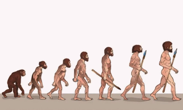 Ilustrasi evolusi manusia. Sumber https://www.shutterstock.com/image-illustration/human-evolution-illustration-man-progress-growth-418409878