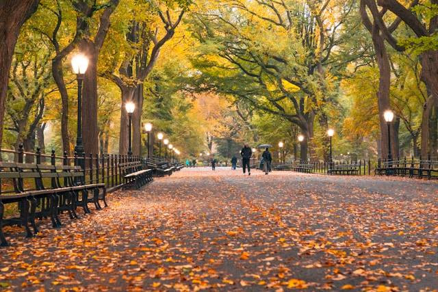 Fifth Avenue. Sumber: Unsplash/Andrea Belussi