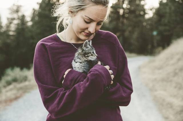 Ilustrasi cara merawat kucing peliharaan di rumah, sumber foto: Japheth Mast by pexels.com
