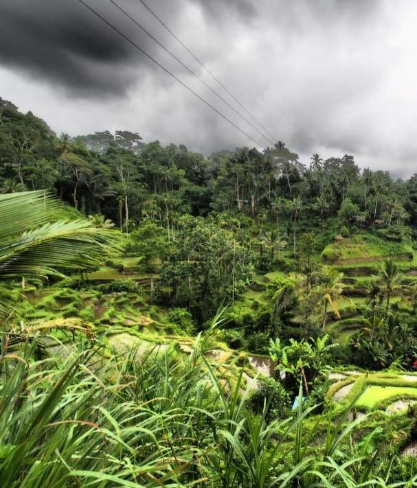 Ilustrasi desa pertanian. Foto: Yutaro/iStock